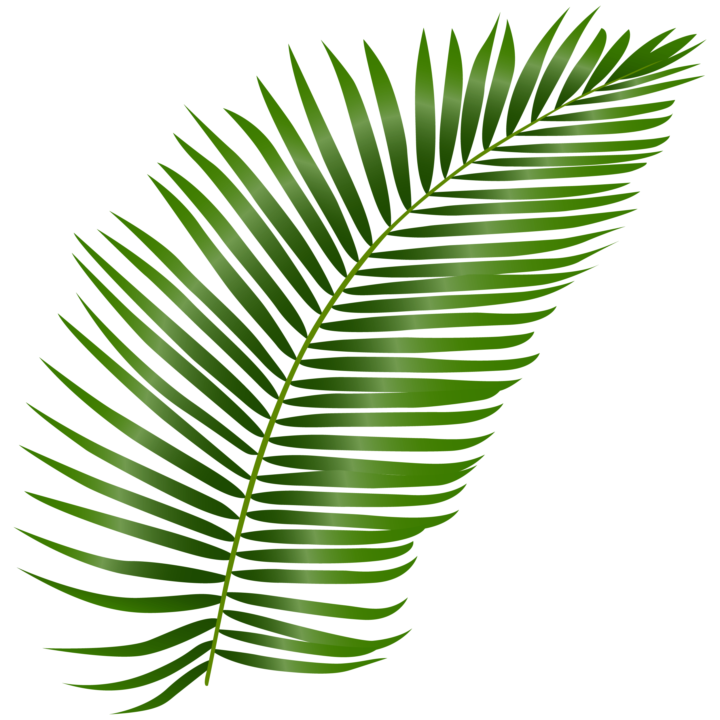 leaf-image